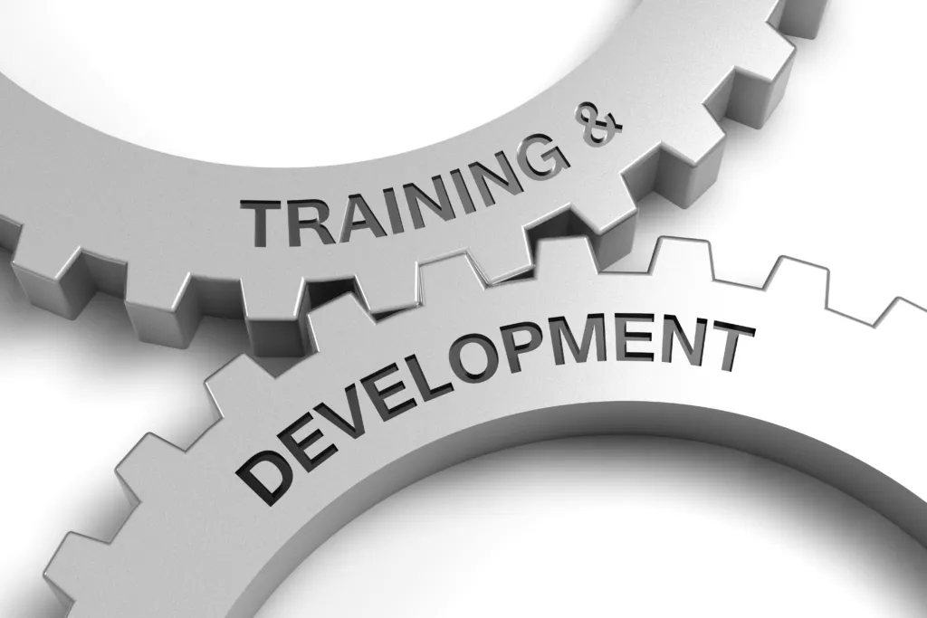 Training and Development Embedded on the Cog Gears
